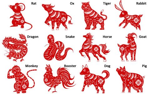 12 Chinese Zodiac: What’s Your Chinese Zodiac?